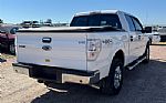 2014 F-150 Thumbnail 2