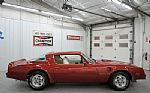 1976 Trans Am Thumbnail 17