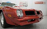 1976 Trans Am Thumbnail 23
