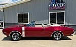 1968 442 Convertible Thumbnail 2
