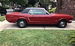 1965 Mustang Thumbnail 1