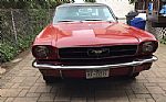 1965 Mustang Thumbnail 5