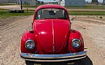 1974 Beetle Thumbnail 3