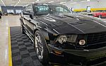 2005 Mustang Saleen S281 Supercharg Thumbnail 10