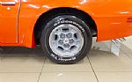 1976 Trans Am Thumbnail 7