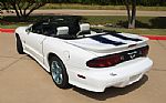 1999 Firebird Trans-Am 30th Anniver Thumbnail 8