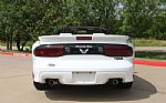 1999 Firebird Trans-Am 30th Anniver Thumbnail 12