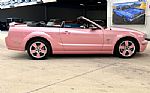 2006 Mustang Thumbnail 5