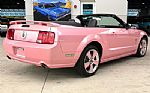 2006 Mustang Thumbnail 6