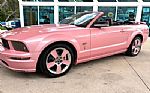 2006 Mustang Thumbnail 12