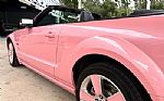 2006 Mustang Thumbnail 14