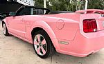 2006 Mustang Thumbnail 15
