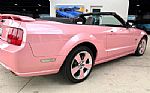 2006 Mustang Thumbnail 16