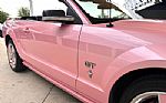 2006 Mustang Thumbnail 18