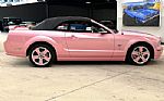 2006 Mustang Thumbnail 22
