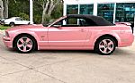 2006 Mustang Thumbnail 24