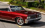 1964 GTO Thumbnail 4