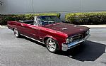 1964 GTO Thumbnail 16