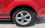 2007 Mustang Thumbnail 24