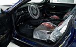 2019 Mustang Shelby GT350 R Thumbnail 31