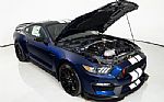 2019 Mustang Shelby GT350 R Thumbnail 69