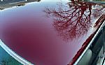 1977 450 SLC Thumbnail 75