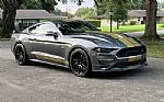 2022 Shelby Mustang Thumbnail 14