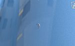 1964 Corvette Sting Ray Thumbnail 61