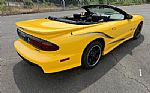 2002 Trans Am Collector Edition Thumbnail 19