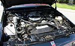 1983 Cutlass 2dr Calais Hurst/Olds Thumbnail 51