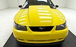 2000 Mustang GT Coupe Thumbnail 8