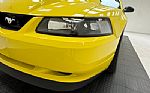 2000 Mustang GT Coupe Thumbnail 10