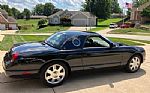 2002 Thunderbird Thumbnail 5