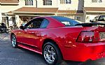 2003 Mustang Mach 1 Thumbnail 3