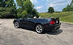 2003 Mustang Thumbnail 5
