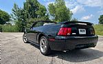 2003 Mustang Thumbnail 7