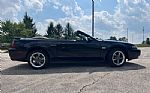 2003 Mustang Thumbnail 14