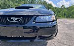 2003 Mustang Thumbnail 21