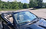 2003 Mustang Thumbnail 45
