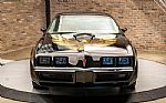 1979 Trans Am Special Edition Thumbnail 2