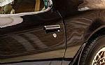 1979 Trans Am Special Edition Thumbnail 23