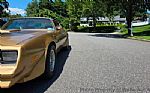 1978 Trans Am Thumbnail 10