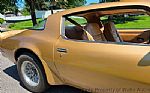 1978 Trans Am Thumbnail 14