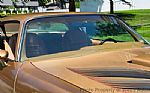 1978 Trans Am Thumbnail 34