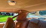 1978 Trans Am Thumbnail 66