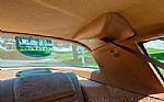 1978 Trans Am Thumbnail 67