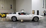 1976 Trans Am Thumbnail 7