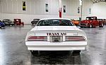 1976 Trans Am Thumbnail 5
