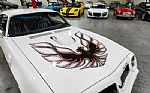 1976 Trans Am Thumbnail 18