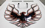 1976 Trans Am Thumbnail 23